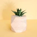 [藝術創作] 陶瓷花盤